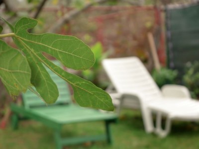 Apartment Two bedroom apartment with terrace Rogoznica A-15876-b - Outdoor photo 9