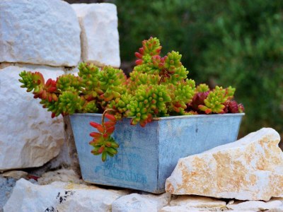 Apartment Two bedroom apartment near beach Sevid, Trogir A-15404-c - Outdoor photo 6