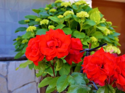 Apartment Two bedroom apartment near beach Sevid, Trogir A-15404-c - Outdoor photo 7