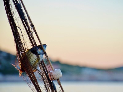 Apartment Two bedroom apartment near beach Sevid, Trogir A-15404-c - Outdoor photo 10