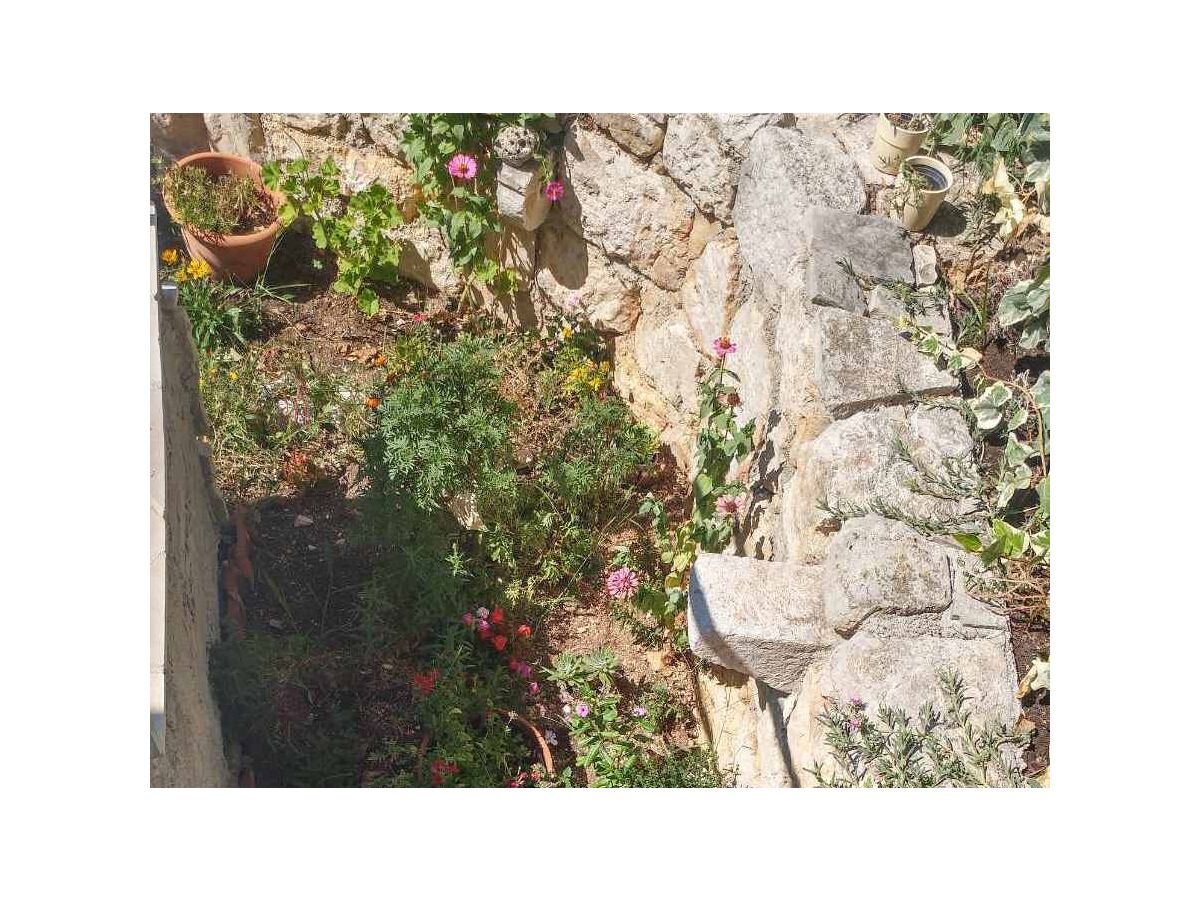 Apartment Two bedroom apartment with balcony and sea view Brist, Makarska A-15443-b - Outdoor photo 5