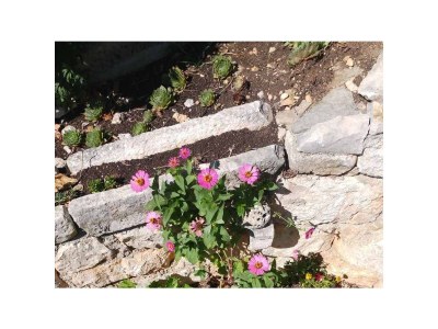 Apartment Two bedroom apartment with balcony and sea view Brist, Makarska A-15443-b - Outdoor photo 6