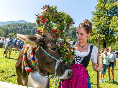 Holiday apartment Heart Romy Maple - Outdoor photo 12