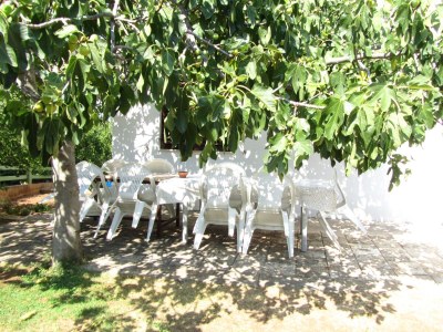 Apartment One bedroom apartment with balcony and sea view Slatine, Čiovo A-15916-c - Outdoor photo 3