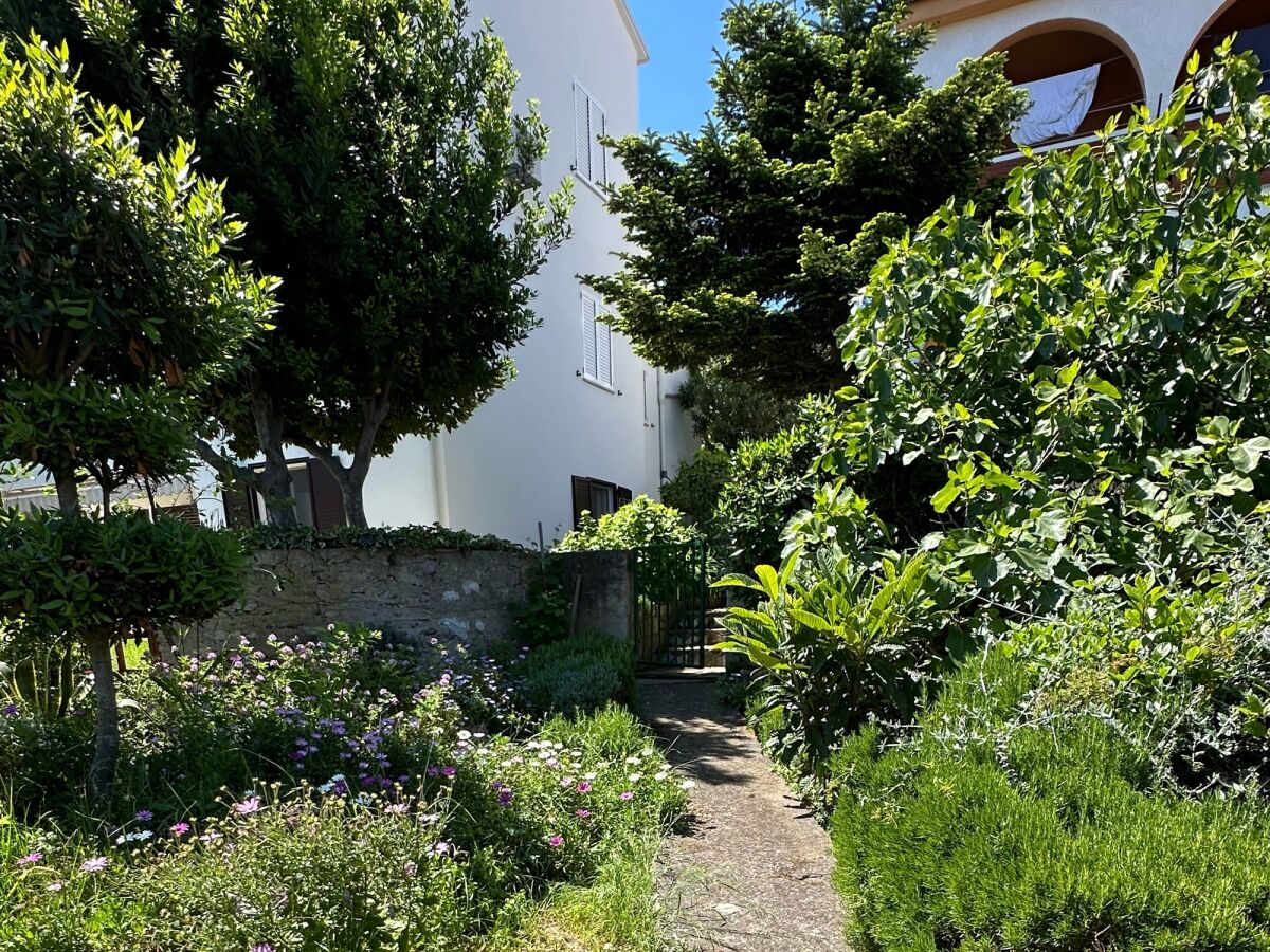 Apartment One bedroom apartment with terrace Mali Lošinj, Lošinj A-14844-a - Outdoor photo 3