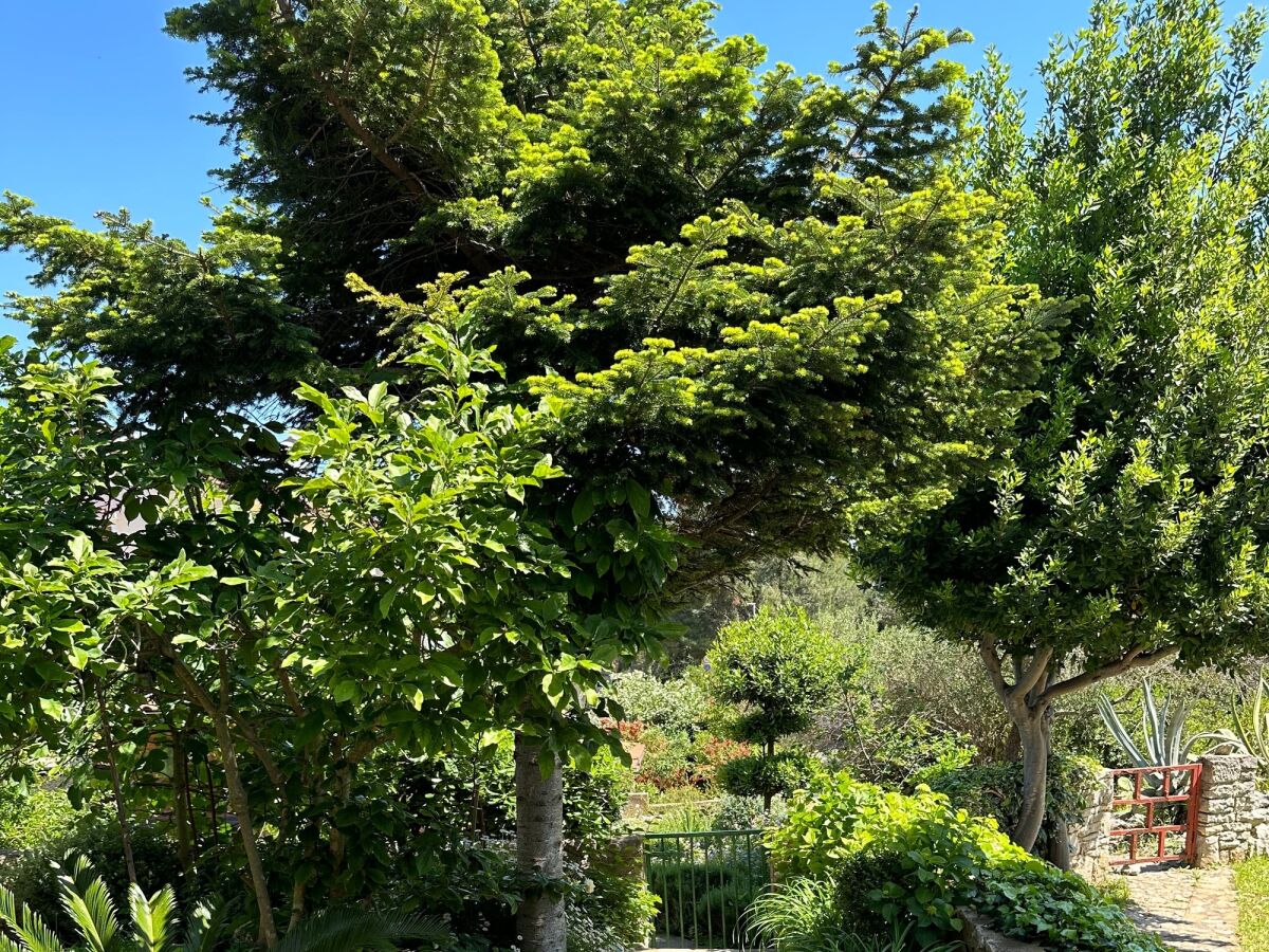 Apartment One bedroom apartment with terrace Mali Lošinj, Lošinj A-14844-a - Outdoor photo 5