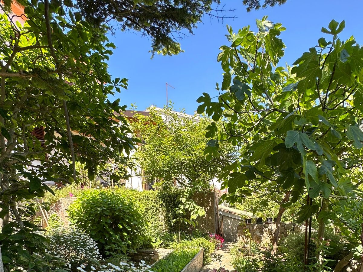 Apartment Two bedroom apartment with terrace Mali Lošinj, Lošinj A-14844-b - Outdoor photo 4