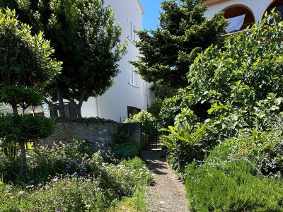 Apartment Two bedroom apartment with terrace Mali Lošinj, Lošinj A-14844-b - Outdoor photo 3