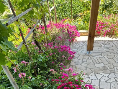 Apartment Two bedroom apartment with terrace Mali Lošinj, Lošinj A-14844-b - Outdoor photo 17