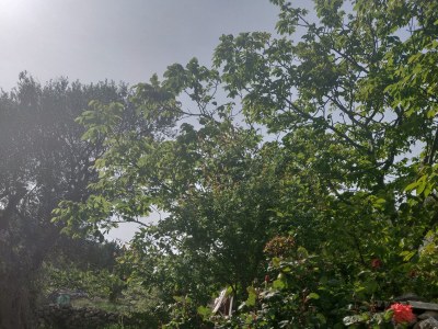 Apartment One bedroom apartment with balcony and sea view Vinišće, Trogir A-17062-b - Outdoor photo 4