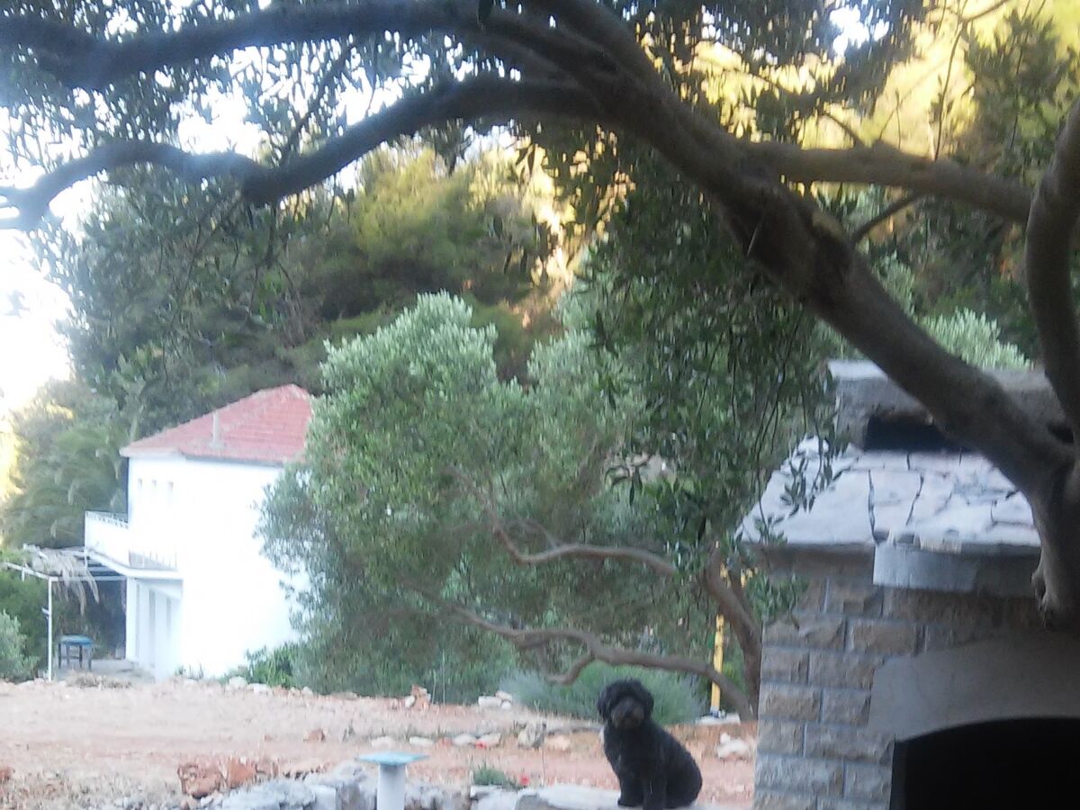 Apartment Two bedroom apartment near beach Cove Skozanje, Hvar A-14899-a - Outdoor photo 5