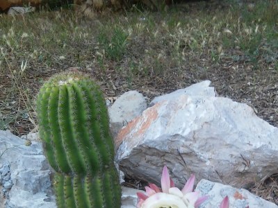 Apartment Two bedroom apartment near beach Cove Skozanje, Hvar A-14899-a - Outdoor photo 9