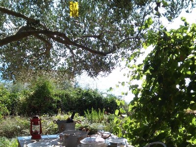 Apartment Two bedroom apartment near beach Cove Skozanje, Hvar A-14899-a - Outdoor photo 17