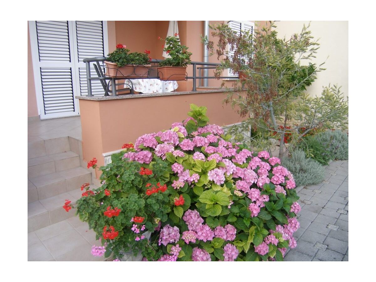 Apartment One bedroom apartment with balcony Sukošan, Zadar A-14970-c - Outdoor photo 5