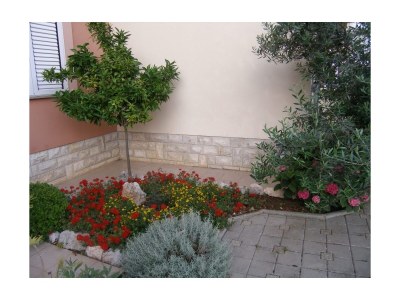 Apartment One bedroom apartment with balcony Sukošan, Zadar A-14970-c - Outdoor photo 6