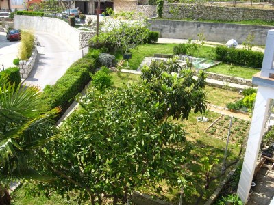 Apartment Two bedroom apartment with terrace Palit, Rab A-14996-a - Outdoor photo 27