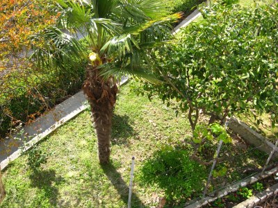 Apartment Two bedroom apartment with terrace Palit, Rab A-14996-a - Outdoor photo 28