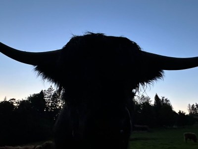 Apartment No title - Environment photo 26