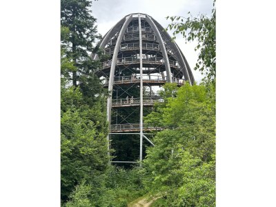 Apartment No title - Environment photo 27