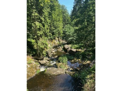 Apartment No title - Environment photo 28