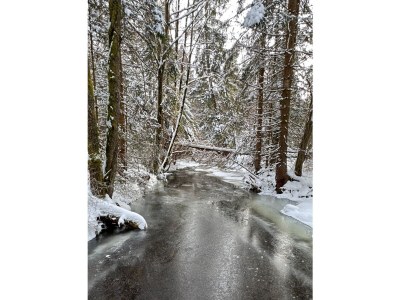 Apartment No title - Environment photo 30