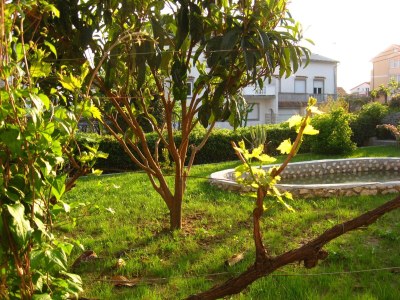 Apartment Two bedroom apartment with terrace Palit, Rab A-14996-b - Outdoor photo 8