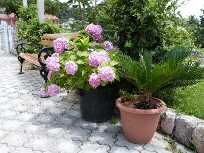 Apartment Two bedroom apartment with terrace Palit, Rab A-14996-b - Outdoor photo 10