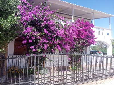 Apartment One bedroom apartment with terrace Drage, Biograd A-17392-a - Outdoor photo 5