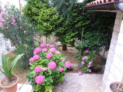 Apartment One bedroom apartment with terrace Banjole, Pula A-17398-c - Outdoor photo 8