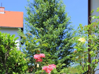 Holiday room with balcony Grabovac, Plitvice S-17419-a - Outdoor photo 11