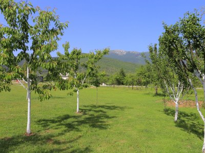 Apartment Apartments and rooms with parking space Vranovača, Plitvice - 17428 - Apartments and rooms with parking space Vranovača, Plitvice - 17428 - Outdoor photo 18