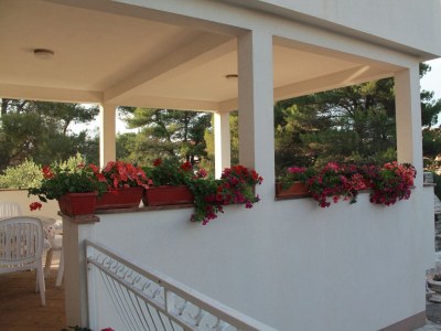 Apartment Studio flat with balcony Brodarica, Šibenik AS-15708-a - Outdoor photo 14