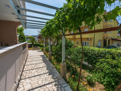 Apartment One bedroom apartment with terrace Lopar, Rab A-18388-b - Outdoor photo 12