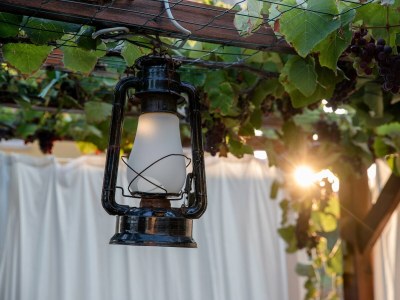 Apartment One bedroom apartment with terrace Lopar, Rab A-18388-b - Outdoor photo 15