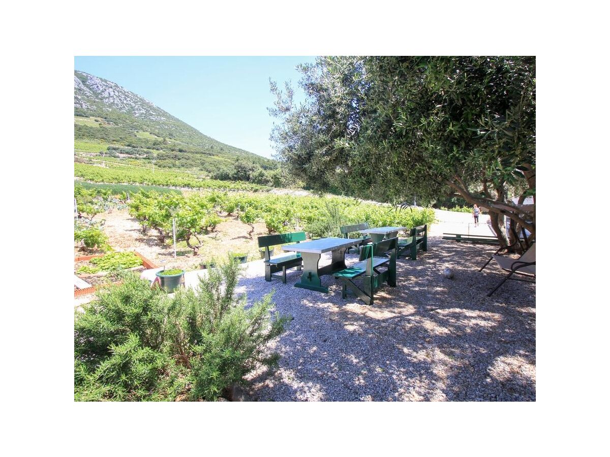 Apartment Family friendly seaside apartments Dingač - Borak, Pelješac - 18060 - Family friendly seaside apartments Dingač - Borak, Pelješac - 18060 - Outdoor photo 3