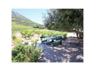 Apartment Family friendly seaside apartments Dingač - Borak, Pelješac - 18060 - Family friendly seaside apartments Dingač - Borak, Pelješac - 18060 - Outdoor photo 3