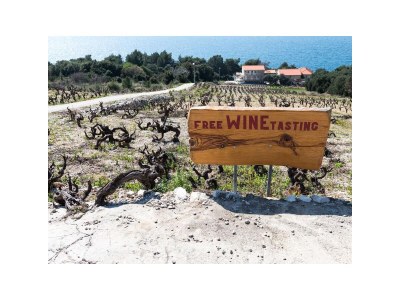 Apartment Family friendly seaside apartments Dingač - Borak, Pelješac - 18060 - Family friendly seaside apartments Dingač - Borak, Pelješac - 18060 - Outdoor photo 7