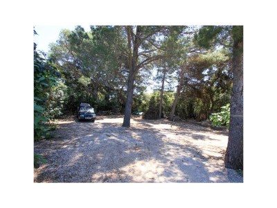 Apartment Family friendly seaside apartments Dingač - Borak, Pelješac - 18060 - Family friendly seaside apartments Dingač - Borak, Pelješac - 18060 - Outdoor photo 11