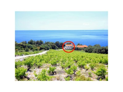 Apartment Family friendly seaside apartments Dingač - Borak, Pelješac - 18060 - Family friendly seaside apartments Dingač - Borak, Pelješac - 18060 - Outdoor photo 22