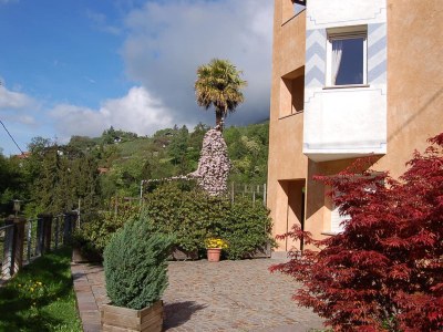 Apartment Type D "Am Waalweg" - Outdoor photo 9