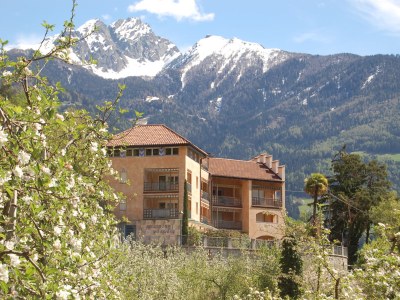 Apartment Type D "Am Waalweg" - Outdoor photo 10