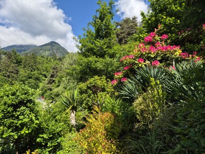 Apartment Type D "Am Waalweg" - Outdoor photo 28