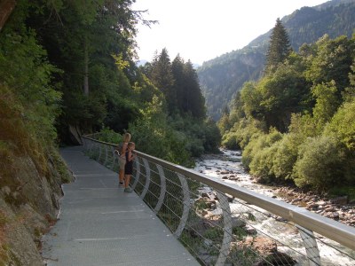 Apartment Type D "Am Waalweg" - Environment photo 34