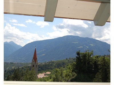 Apartment Type D "Am Waalweg" - Environment photo 36