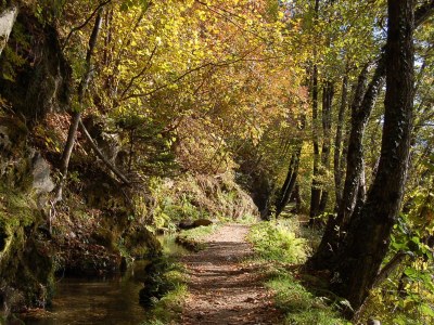 Apartment Type D "Am Waalweg" - Environment photo 37