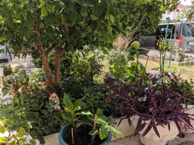 Apartment One bedroom apartment with terrace Vodice A-18428-a - Outdoor photo 2