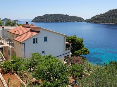 Apartment One bedroom apartment near beach Karbuni, Korčula A-18137-b in Blato - Apartment