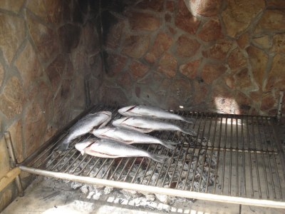 Apartment Apartments by the sea Vir - 18451 - Outdoor photo 4