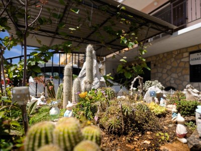 Apartment Two bedroom apartment with balcony Stari Grad, Hvar A-18458-a - Outdoor photo 7