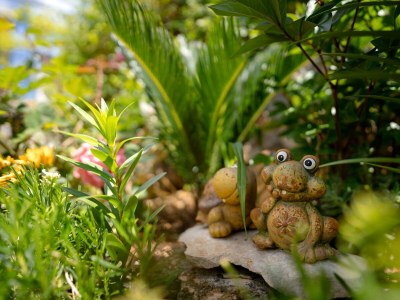 Apartment Two bedroom apartment with balcony Stari Grad, Hvar A-18458-a - Outdoor photo 10